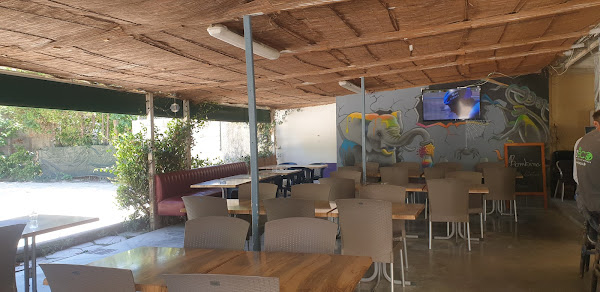 photo de Bar Resto Pizza Les Catalpas à Montélimar