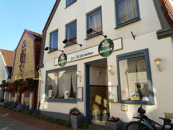 photo de Schleimöwe à Schleswig